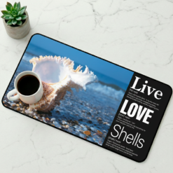 Live + Love + Shells: The foundation for your coffee ritual or creative workspace.