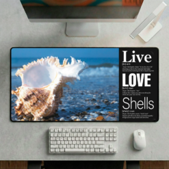Live + Love + Shells: The foundation for your coffee ritual or creative workspace.