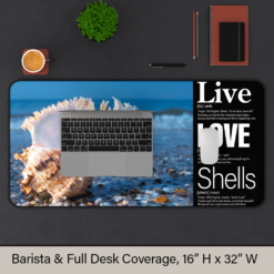 Live + Love + Shells: The foundation for your coffee ritual or creative workspace.