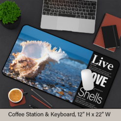 Live + Love + Shells: The foundation for your coffee ritual or creative workspace.