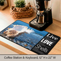 Live + Love + Shells: The foundation for your coffee ritual or creative workspace.