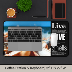 Live + Love + Shells: The foundation for your coffee ritual or creative workspace.